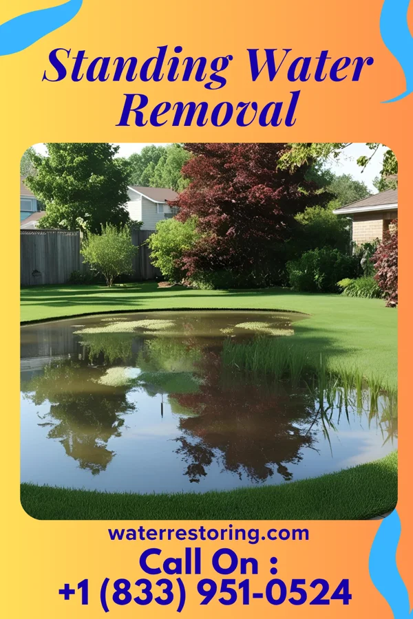 Standing Water Removal in Cowan, TN